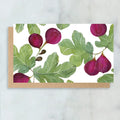 Figs Mini Cards- Boxed Set of 6