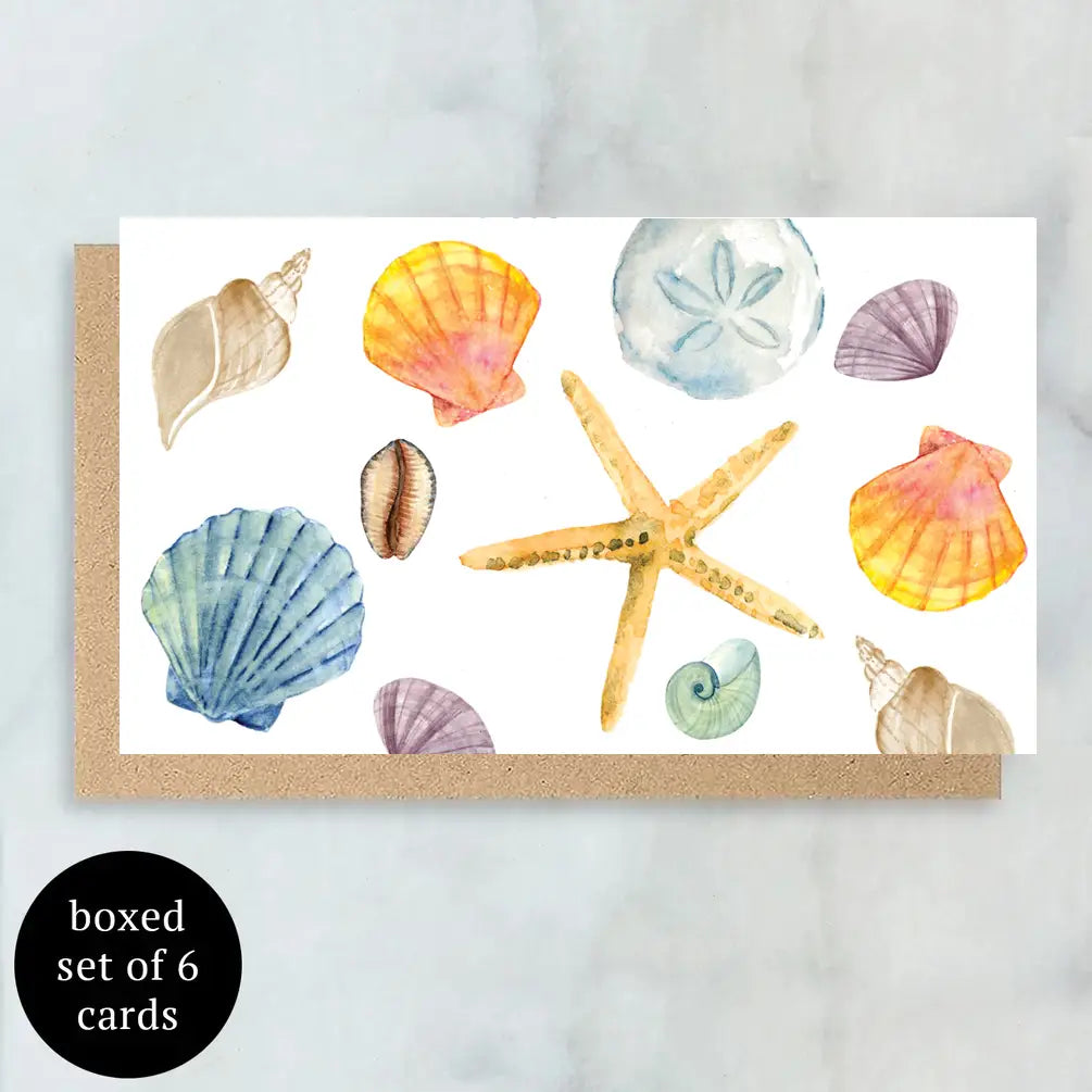 Sea Shell Mini Cards - Boxed Set of 6