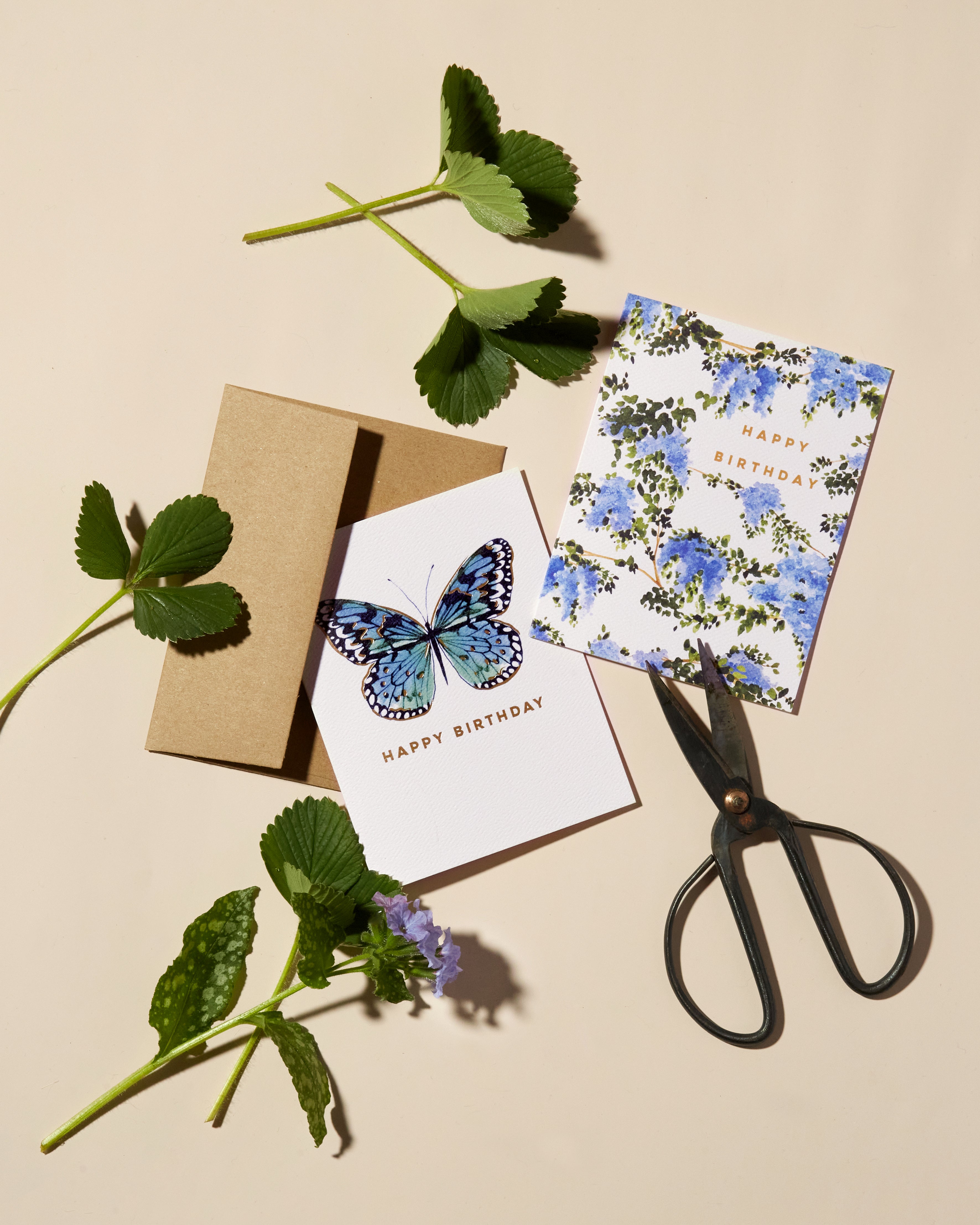 Wisteria Birthday Card