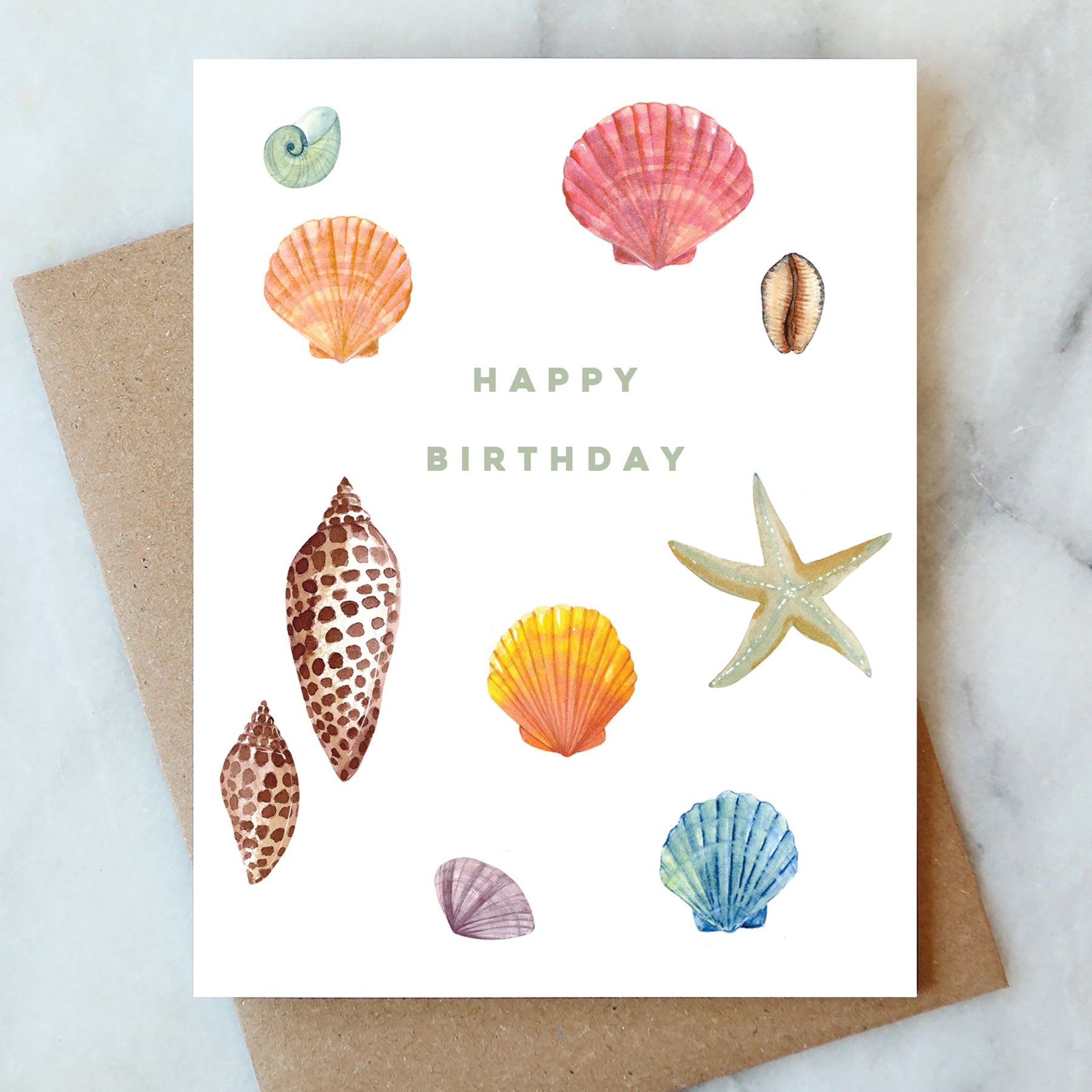 Shell Collector Birthday Card