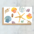 Sea Shell Mini Cards - Boxed Set of 6