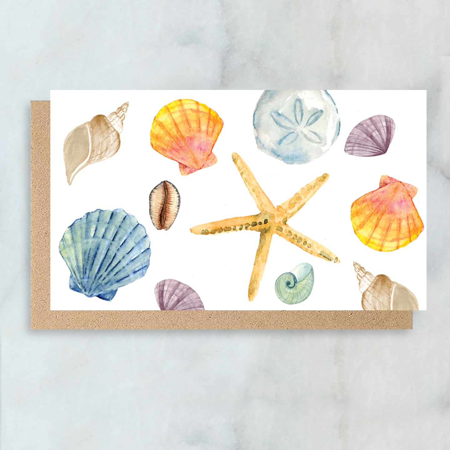 Sea Shell Mini Cards - Boxed Set of 6