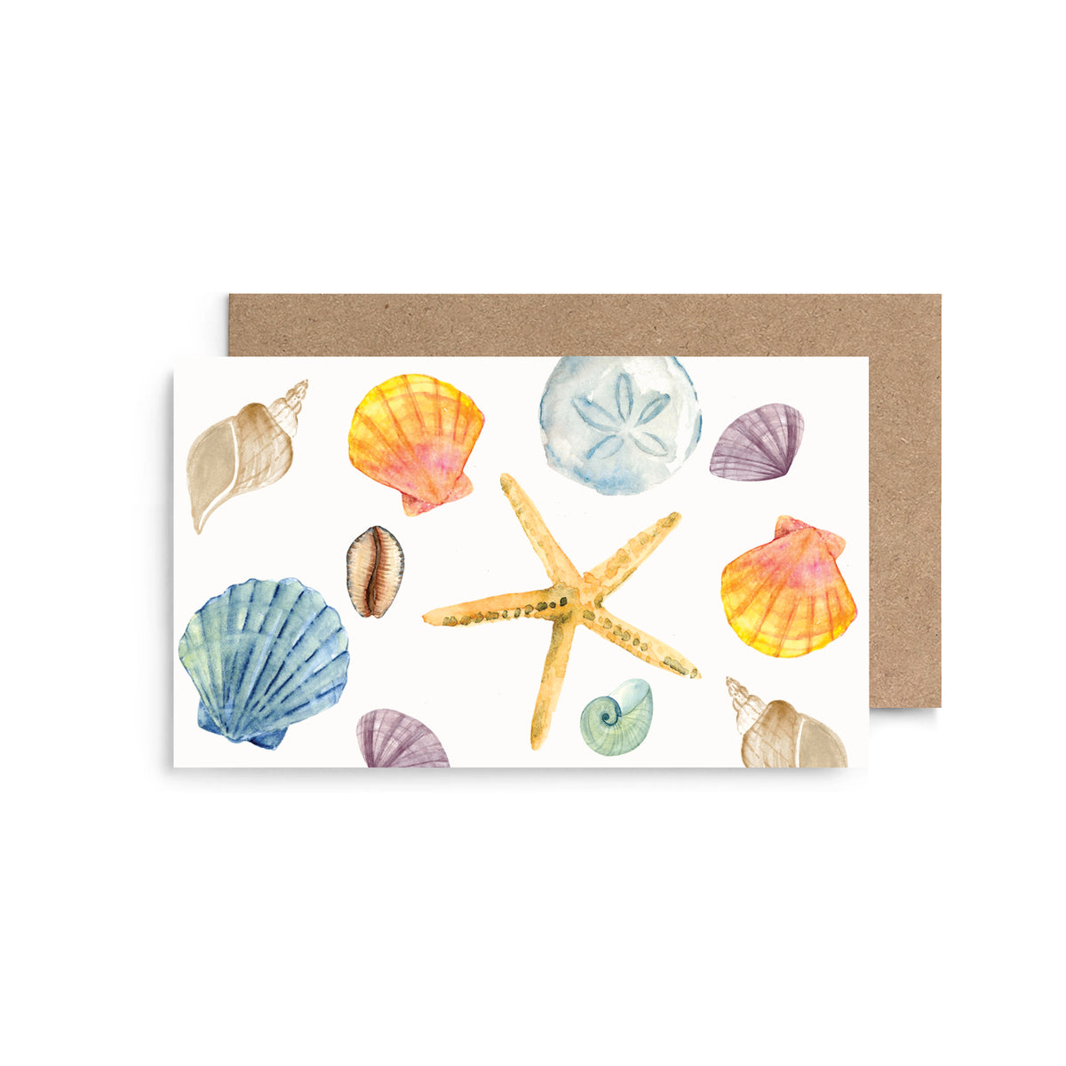Sea Shell Mini Cards - Boxed Set of 6