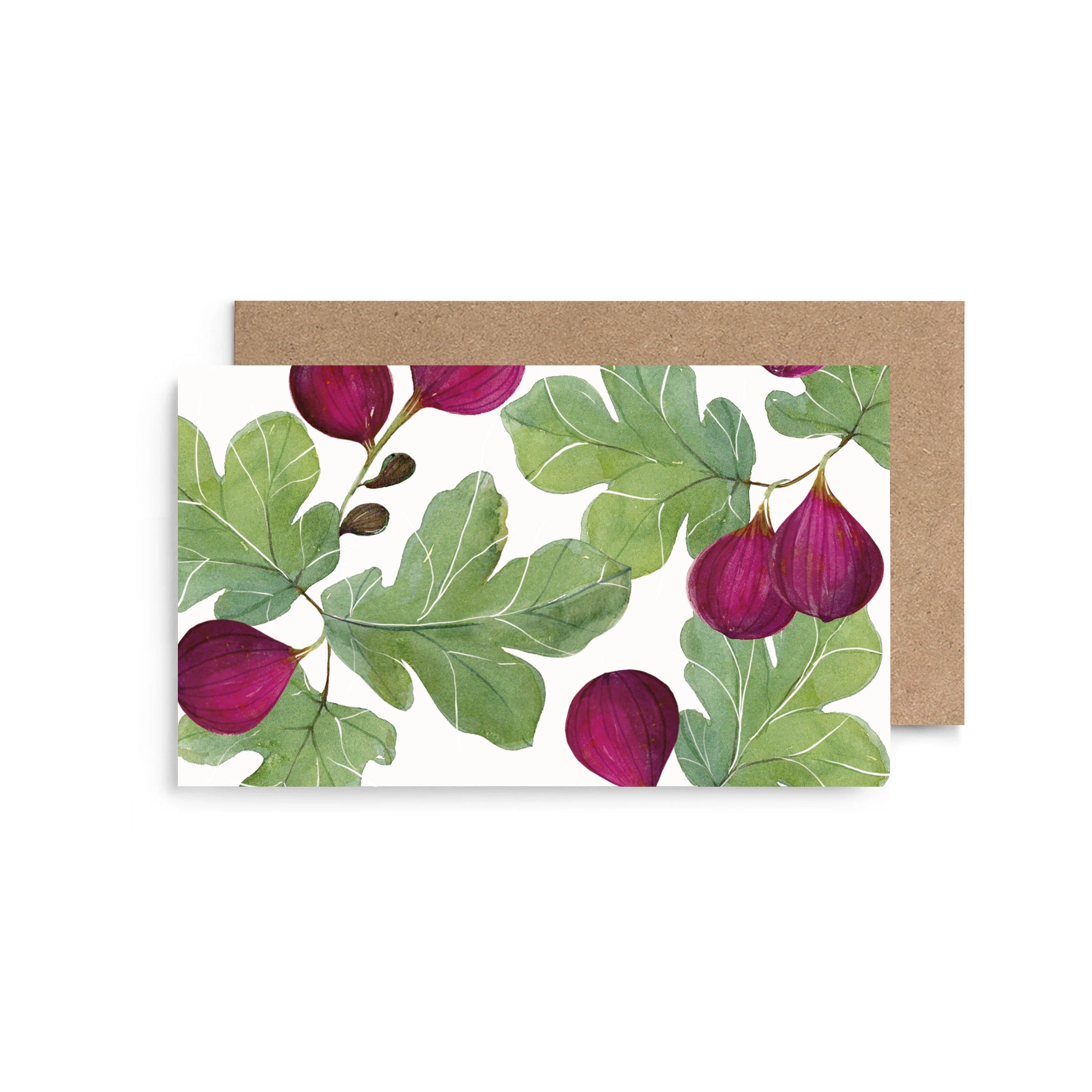 Figs Mini Cards- Boxed Set of 6