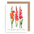 Gladiolas Sympathy Card