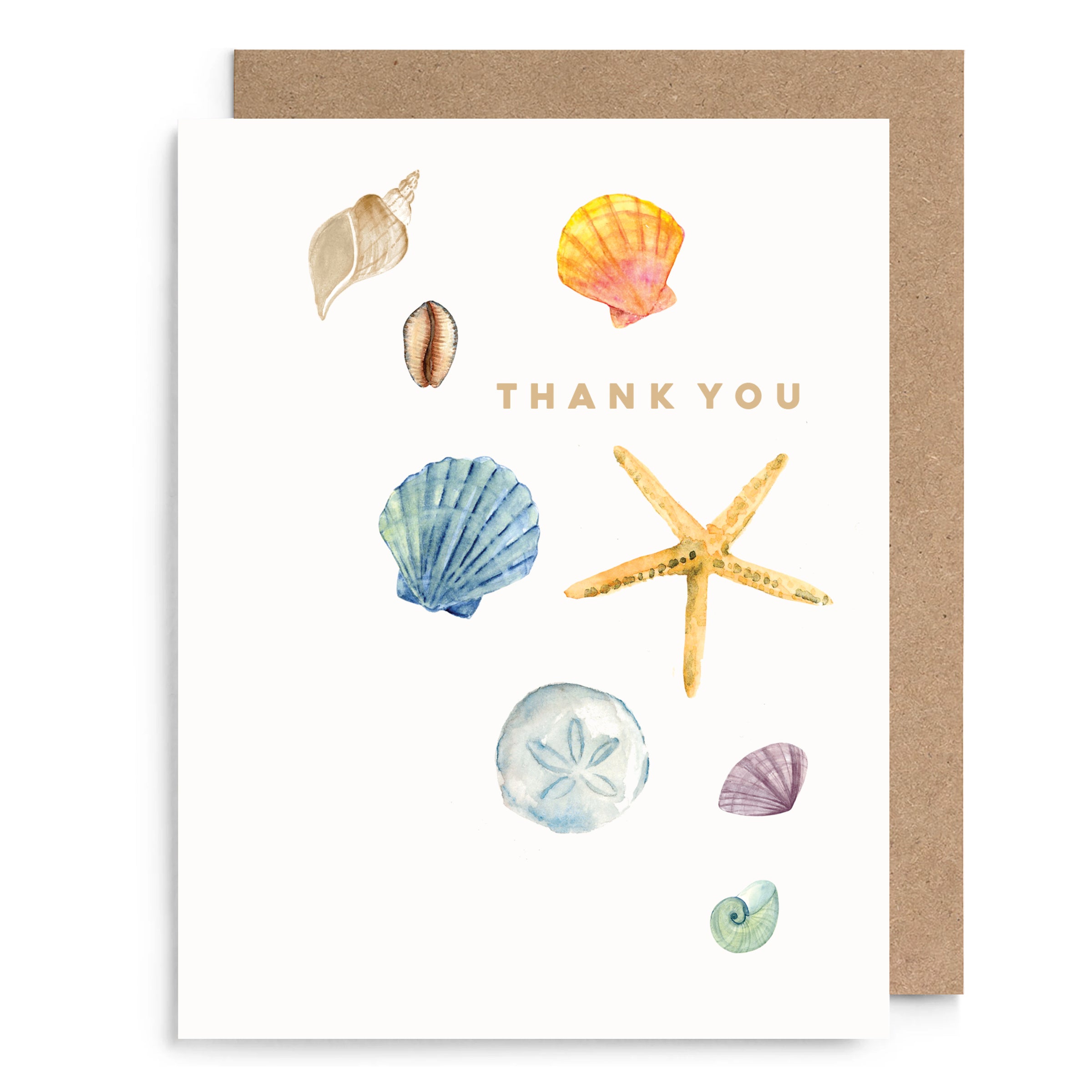 Shells Thank You Card