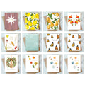 Thank You Card Variety Pack  - 12 cards