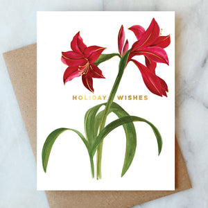 Amaryllis Holiday Wishes Card - Box Set of 6