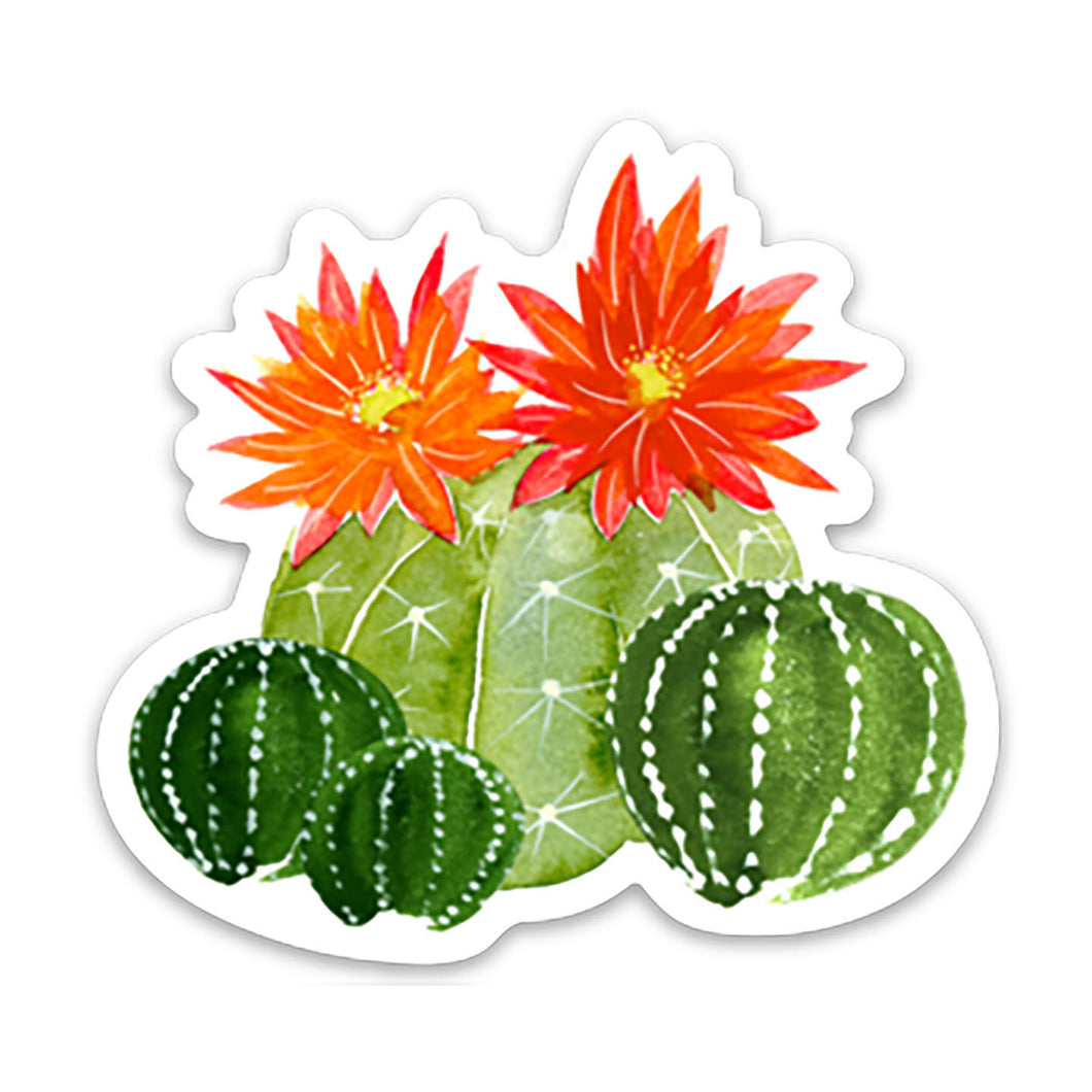 Blooming Cactus Sticker